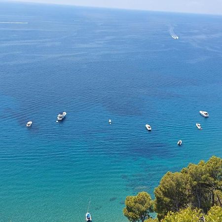 Tenuta Belvedere Cilento Монтекориче Экстерьер фото