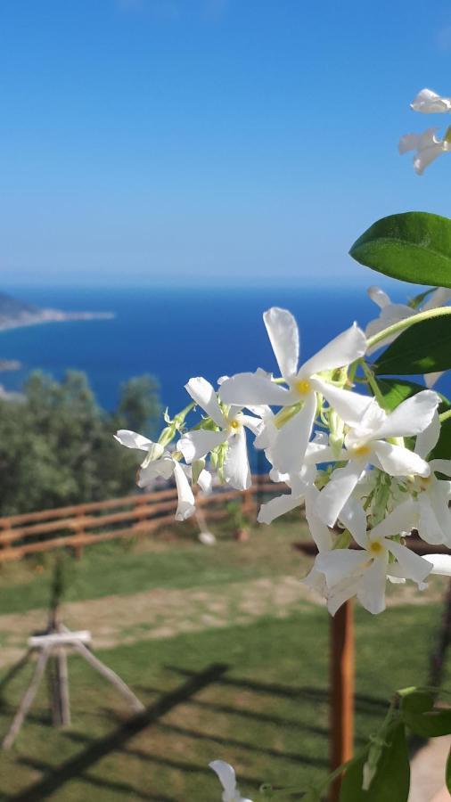 Tenuta Belvedere Cilento Монтекориче Экстерьер фото