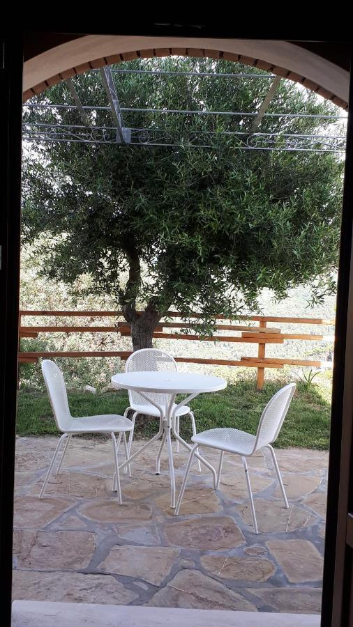 Tenuta Belvedere Cilento Монтекориче Экстерьер фото