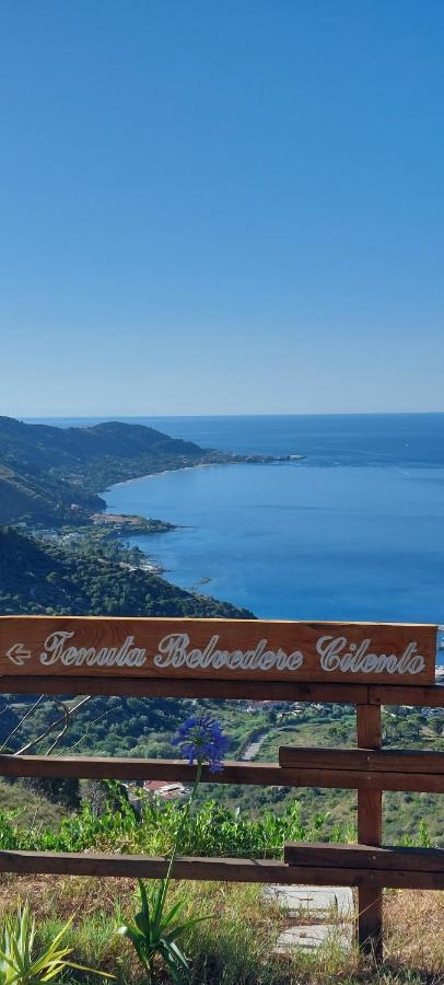 Tenuta Belvedere Cilento Монтекориче Экстерьер фото