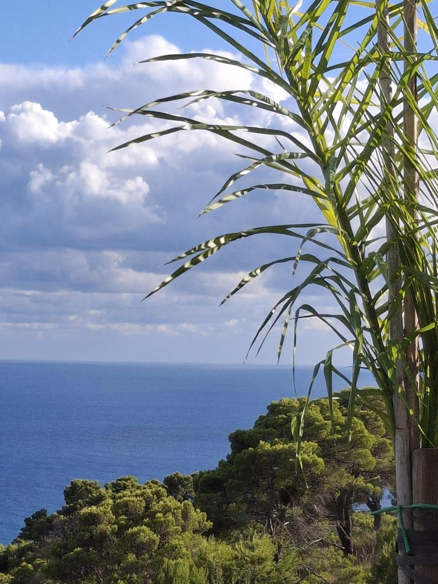 Tenuta Belvedere Cilento Монтекориче Экстерьер фото